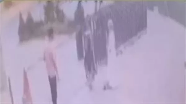 الواقعة