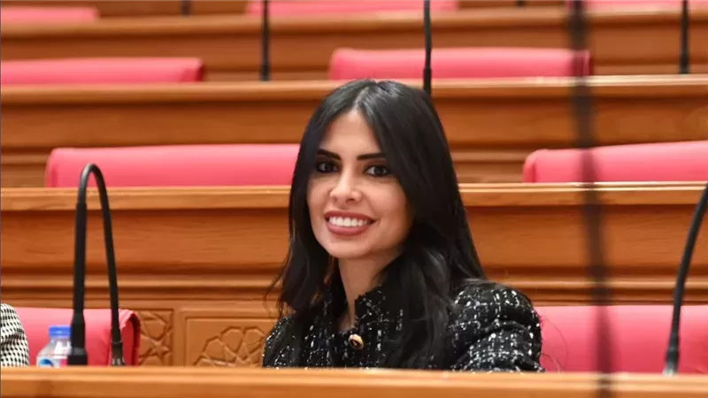 النائبة هايدي المغازي، عضو مجلس النواب