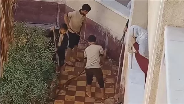 صوةر من الفيديو