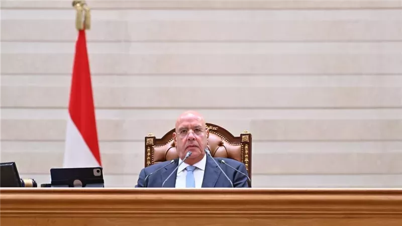 المستشار هشام بدوي، رئيس مجلس النواب