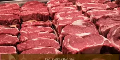 اللحوم