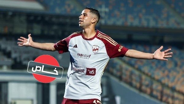 رضا سليم