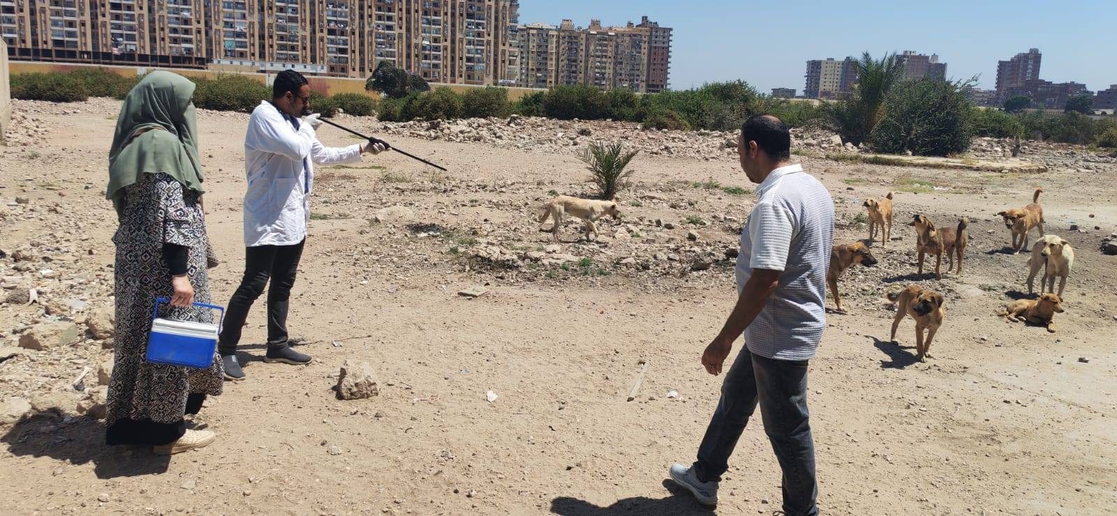 تحصين الكلاب ضد مرض السعار