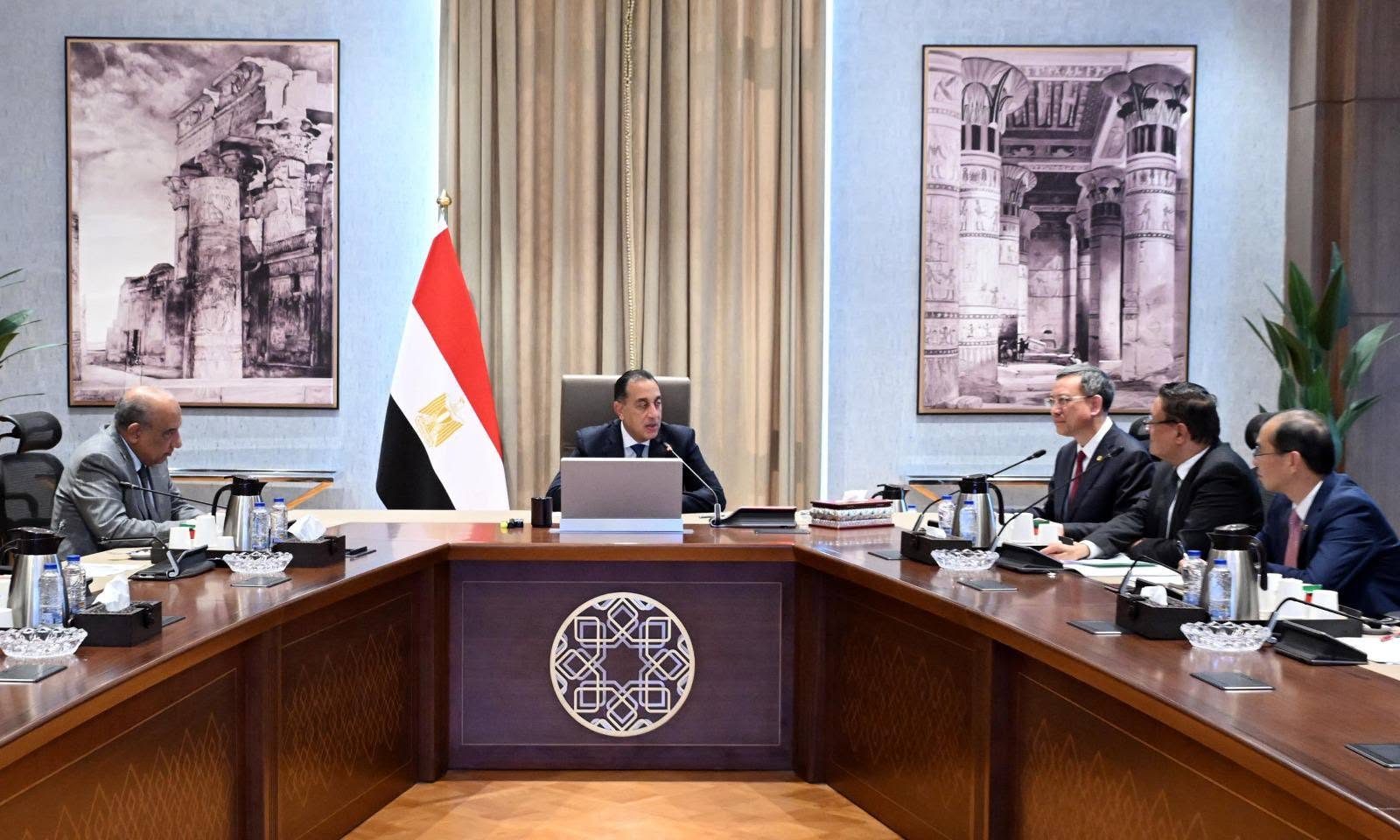 مدبولي يبحث مع عملاق الطاقة الصيني تعزيز التعاون في الكهرباء والطاقة المتجددة