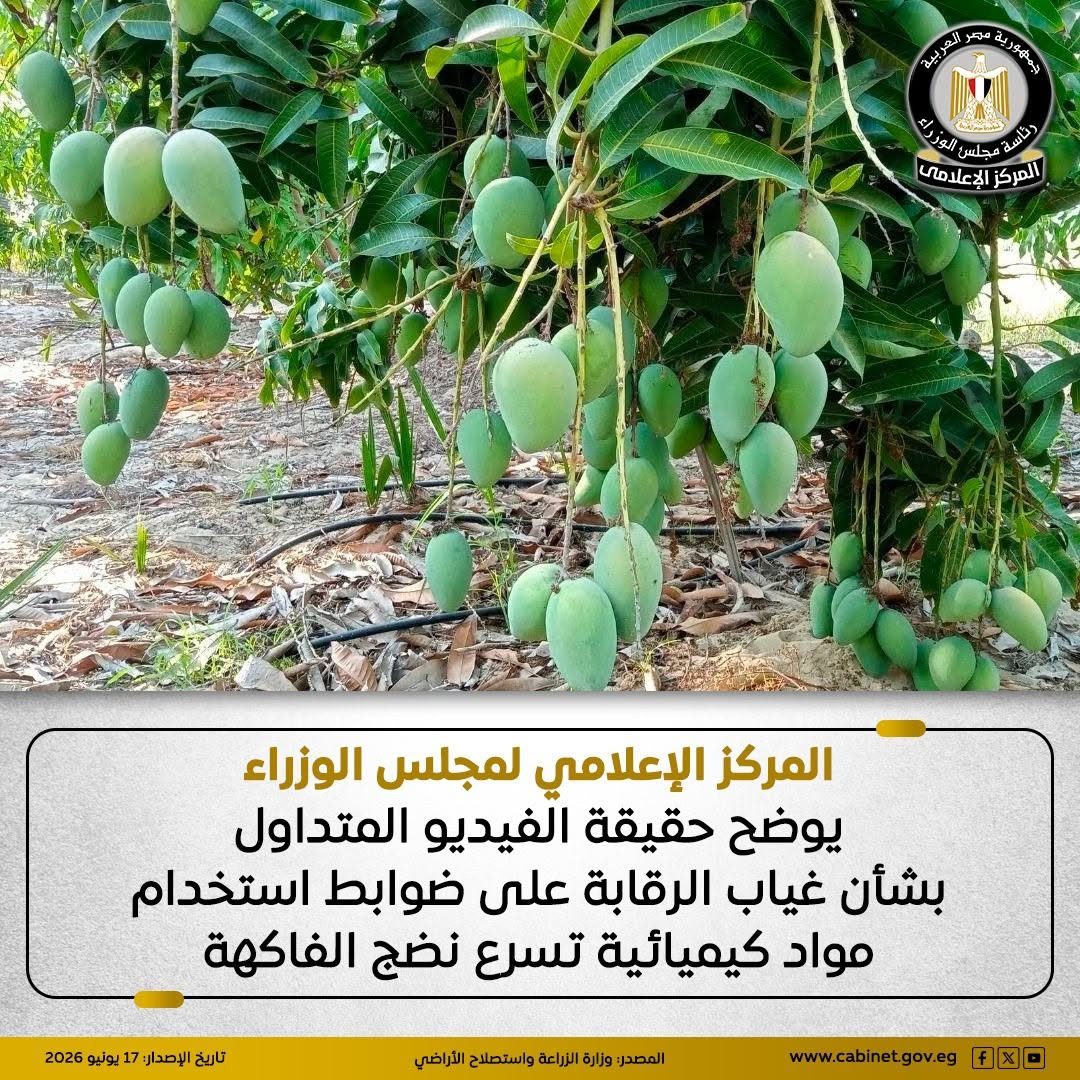 المركز الإعلامي لمجلس الوزراء