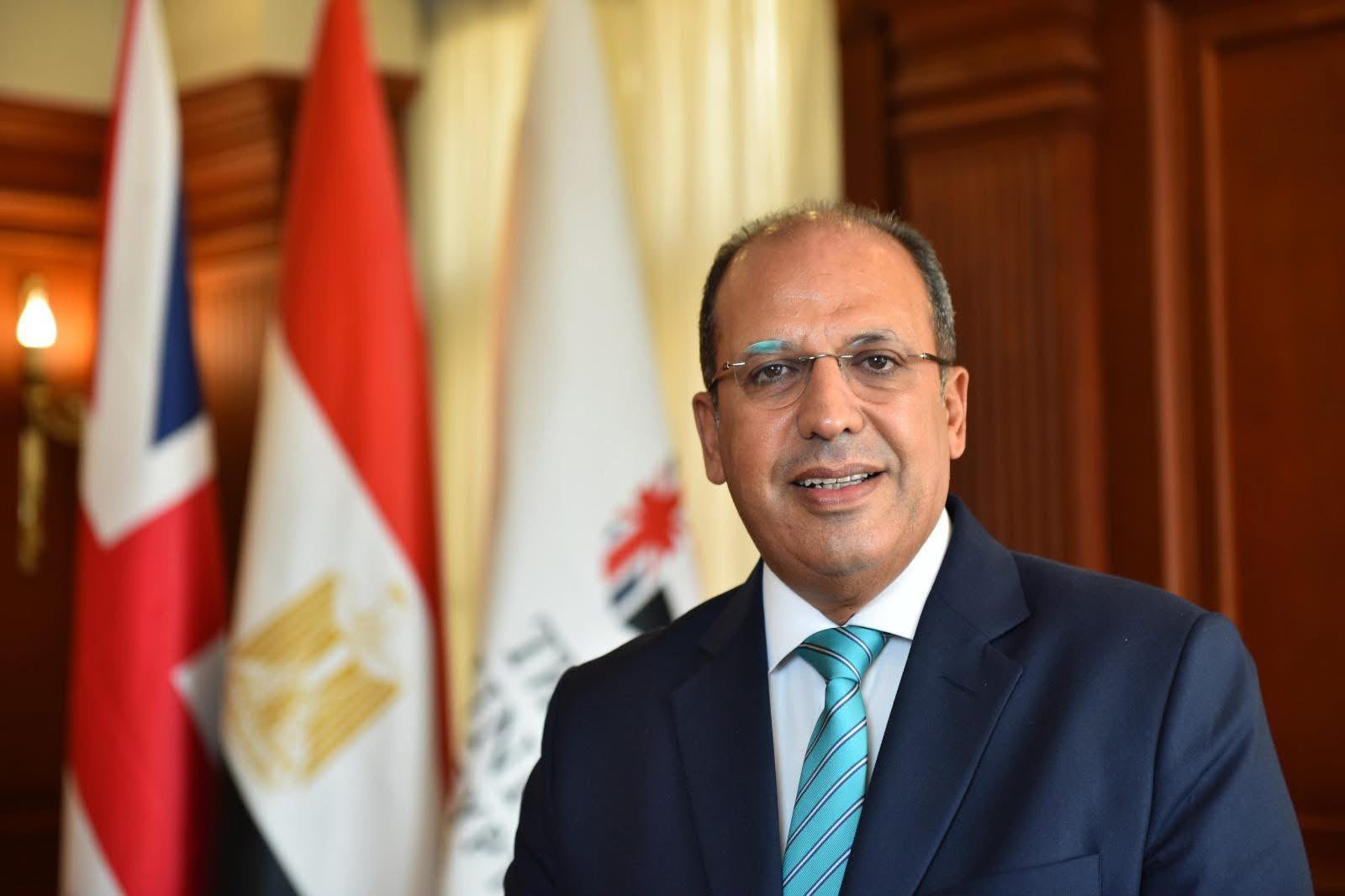 الأستاذ الدكتور محمد لطفي