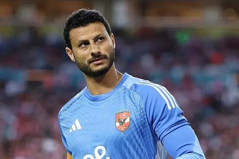 محمد الشناوي
