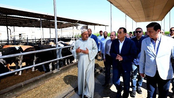 الدكتور مصطفى مدبولي