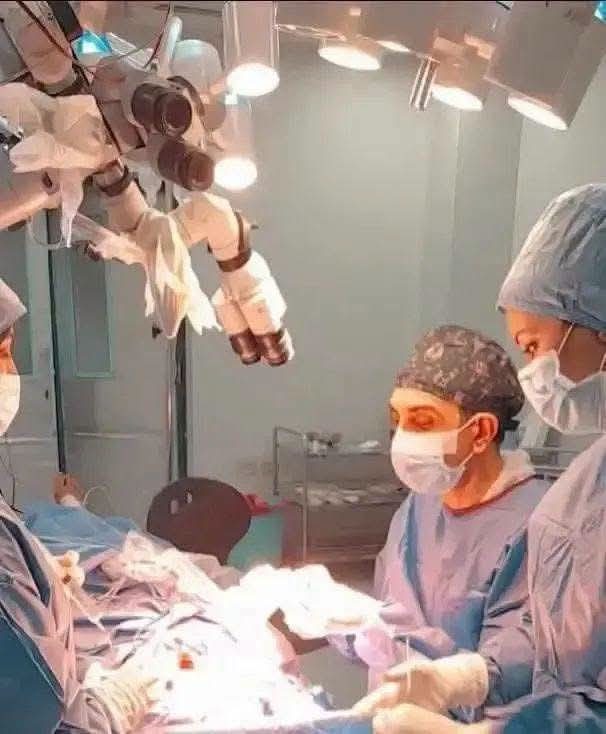 عمليات زراعة القوقعة