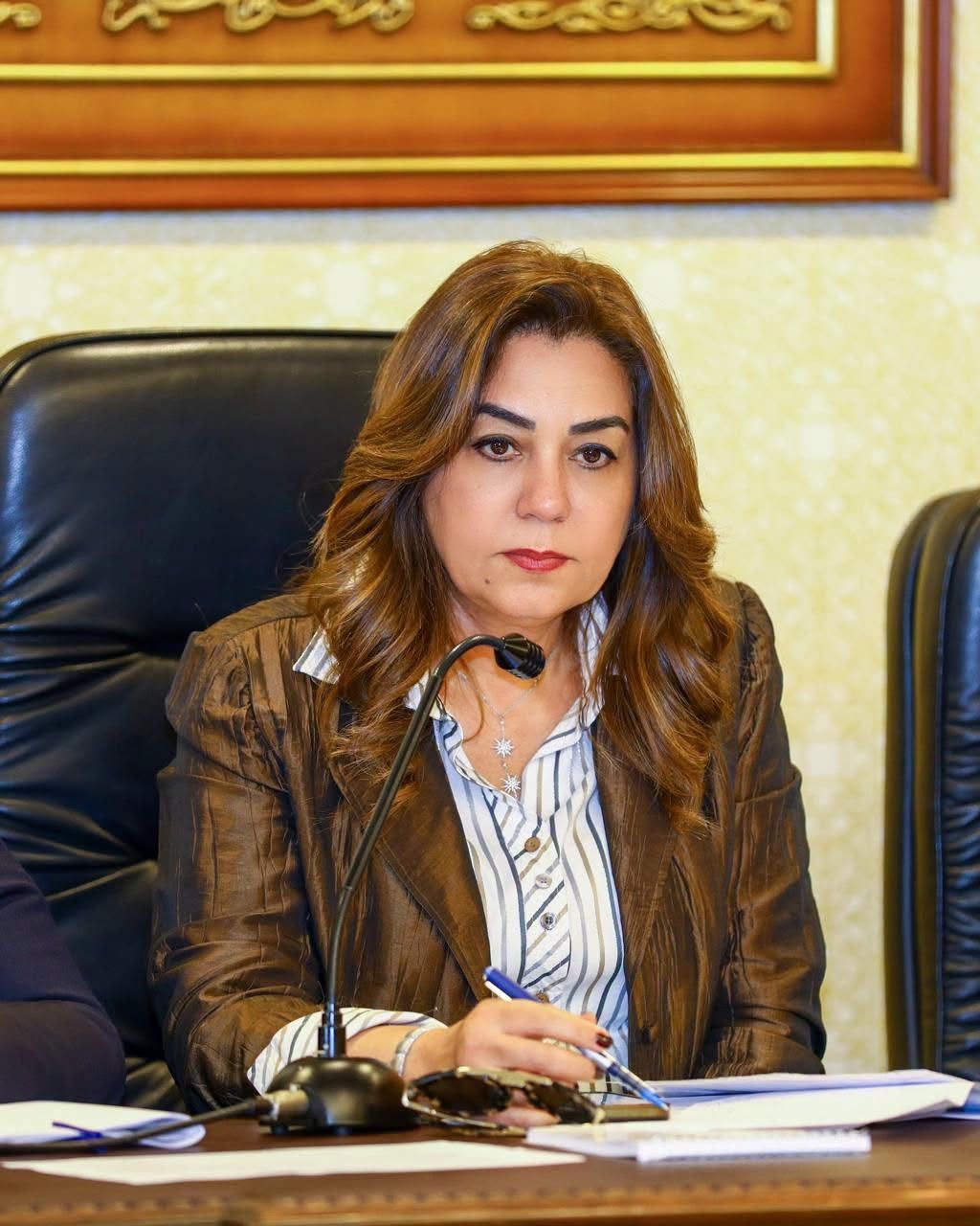 وزارة التنمية المحلية والبيئة