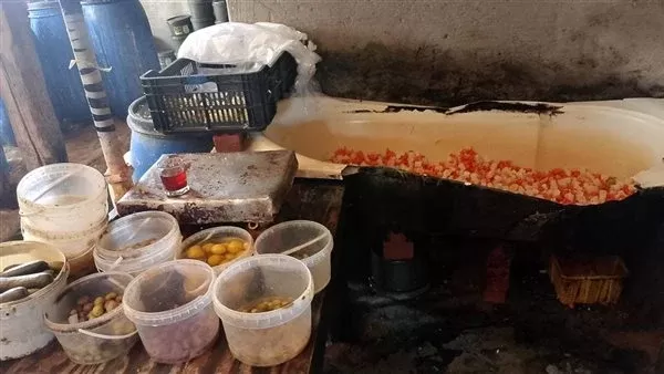 جانب من المضبوطات