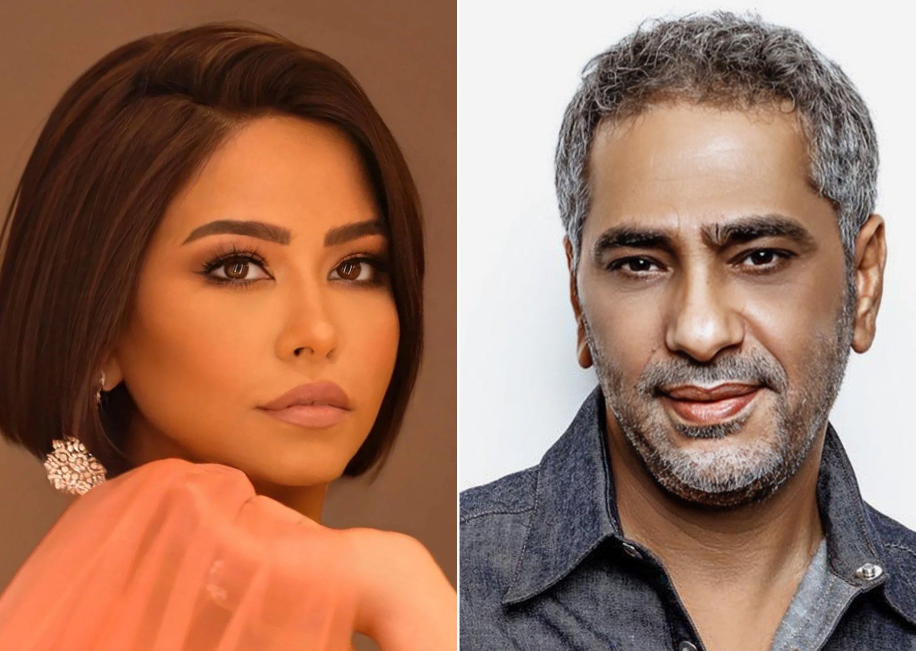 فضل شاكر - شيرين عبد الوهاب