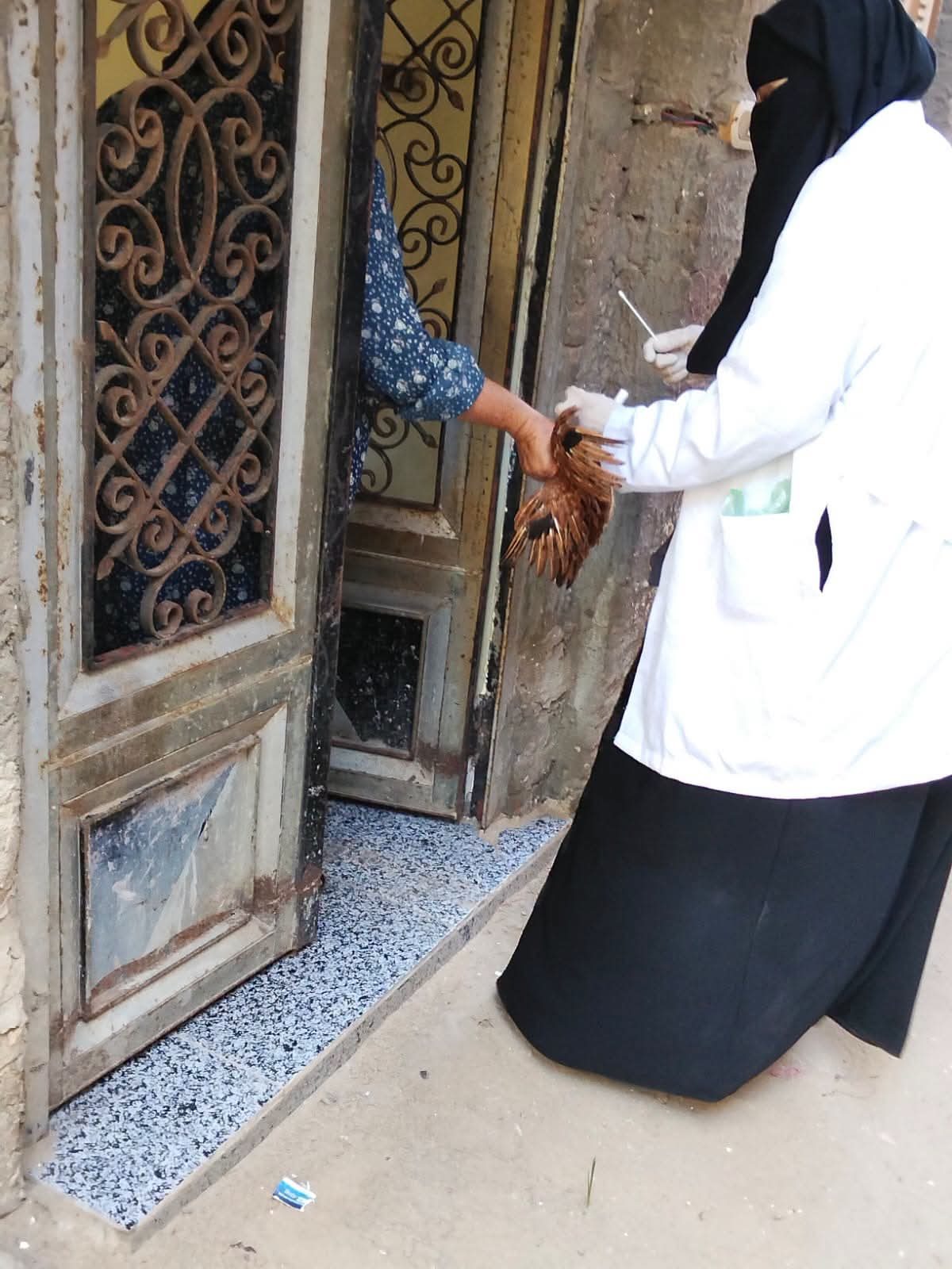 تحصين الطيور