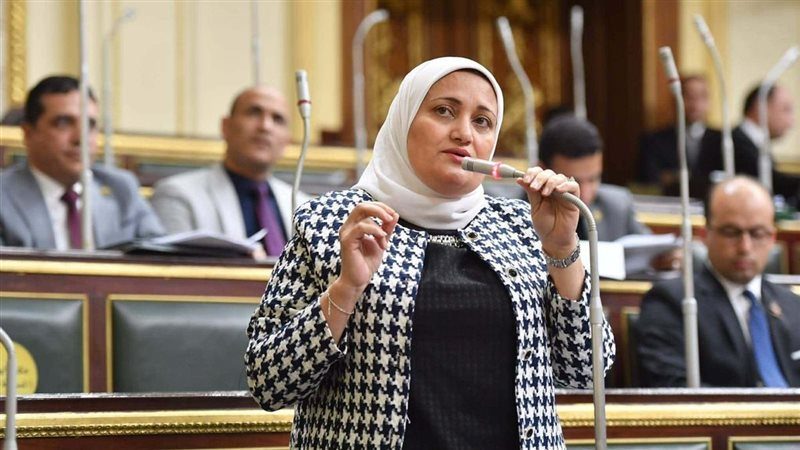 النائبة سناء السعيد، عضو مجلس النواب
