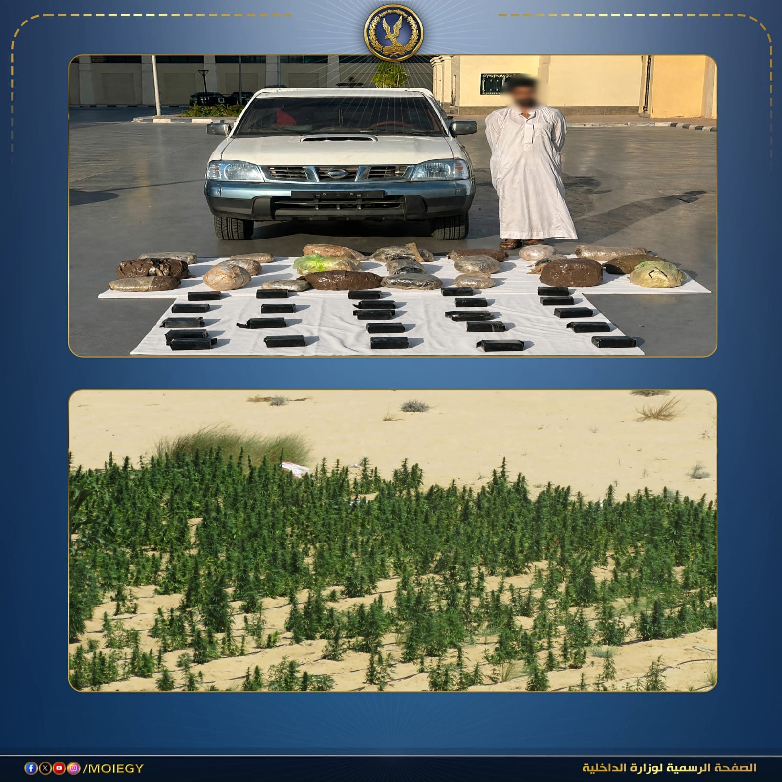 المضبوطات