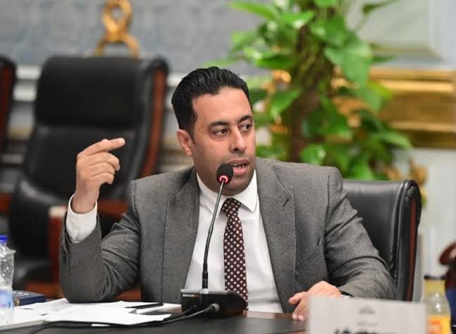 النائب أحمد فرغلي