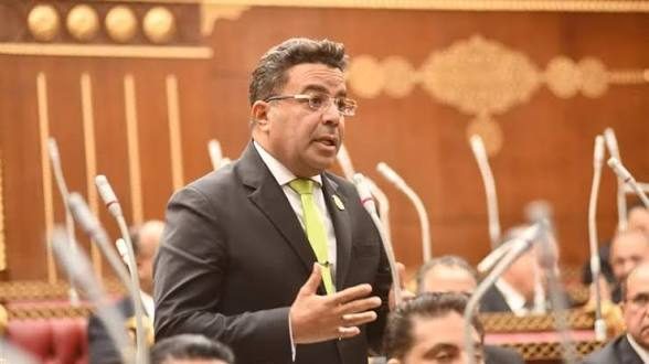 النائب باسل عادل