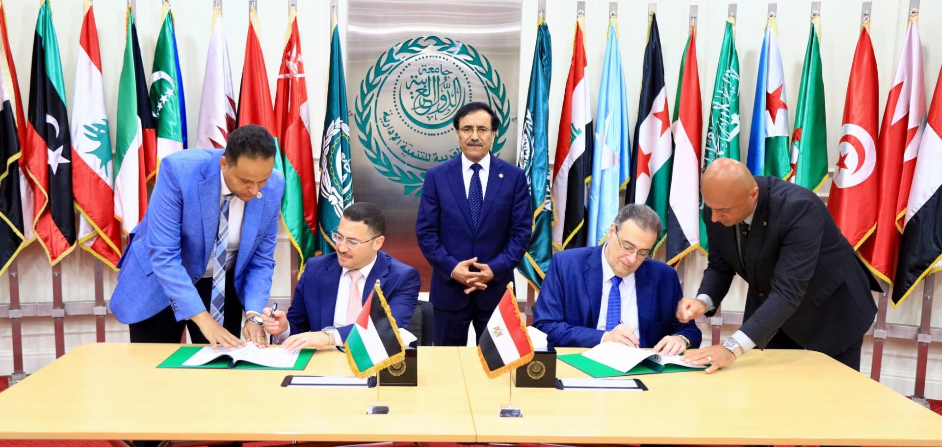 التنظيم والإدارة