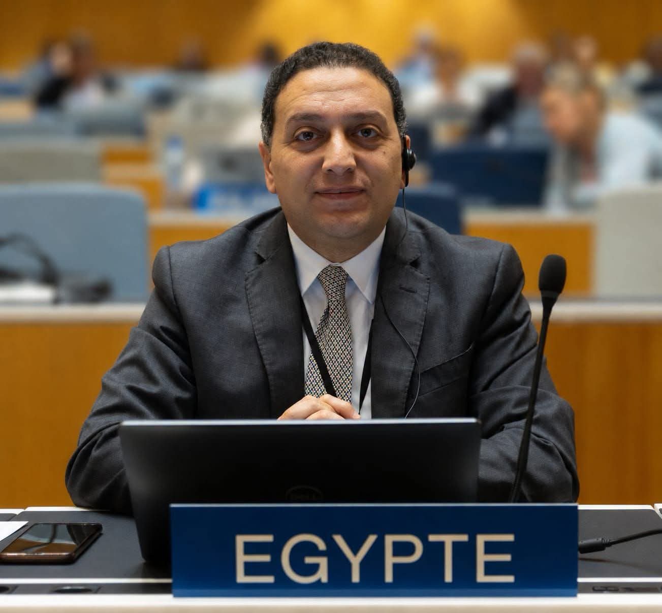 المستشار محمد عادل