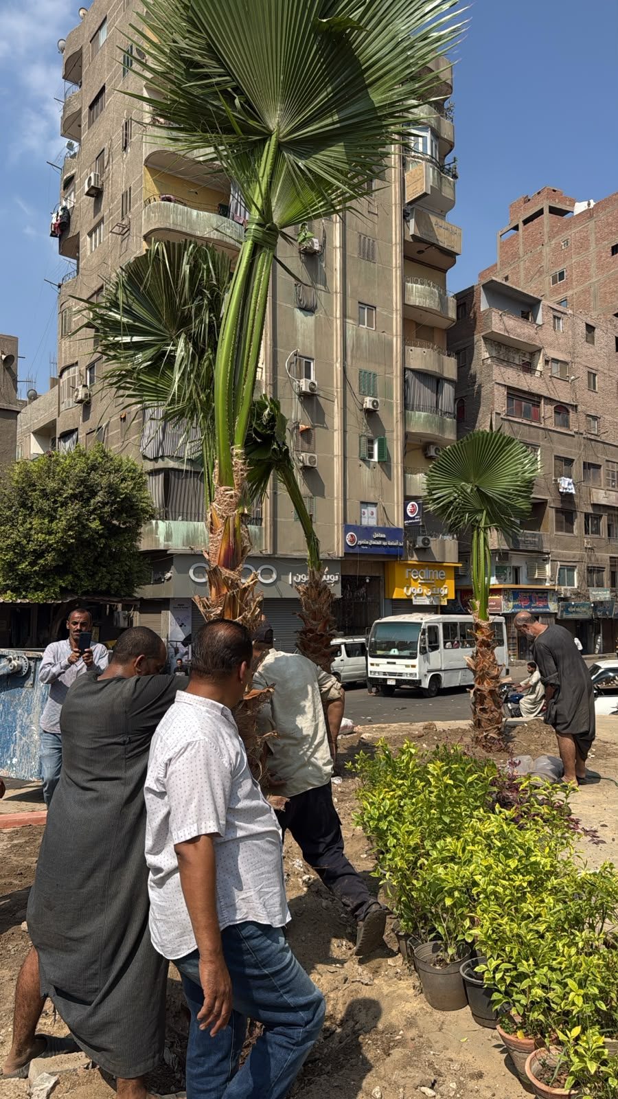 ميدان الشجرة بشارع المطار بحي المنيرة الغربية