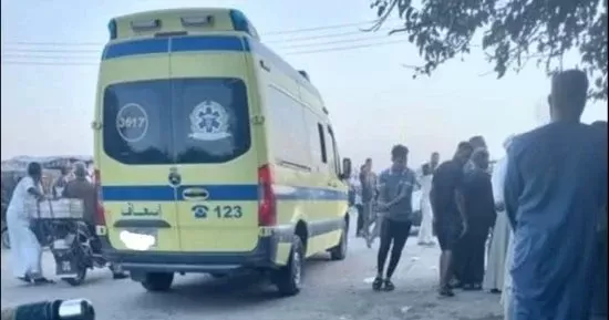 مصرع شخصين وإصابة 11 آخرين في حادث تصادم بطريق زفتى المحلة