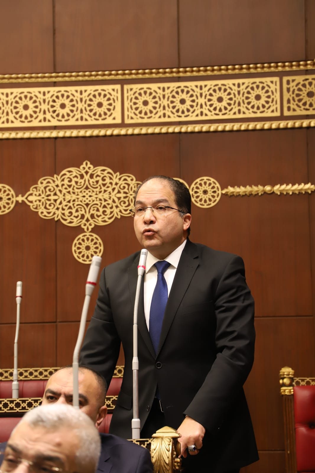 النائب عادل اللمعي