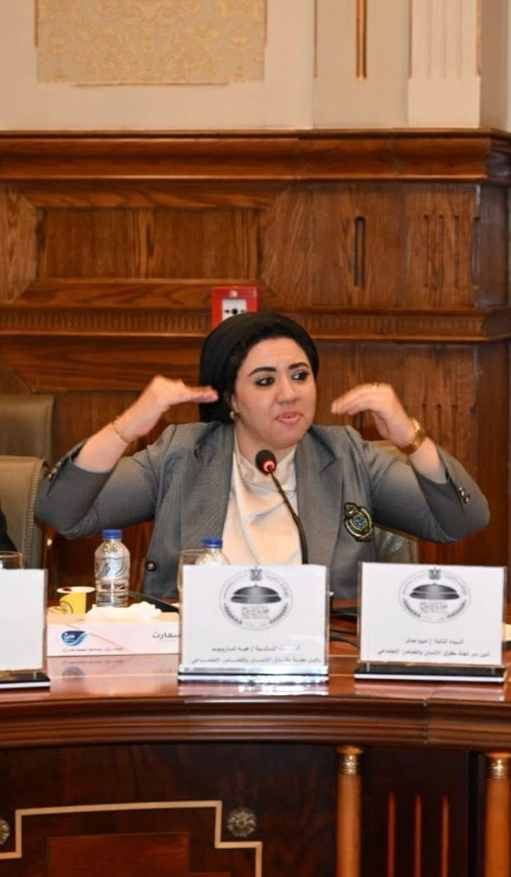 النائبة أميرة صابر، عضو مجلس الشيوخ