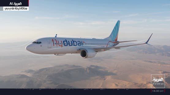 فلاي دبي