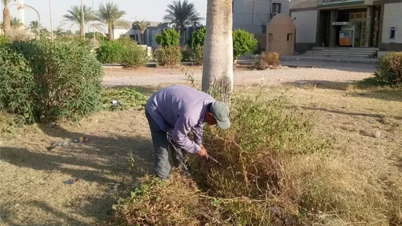 منطقة البنوك والمحكمة