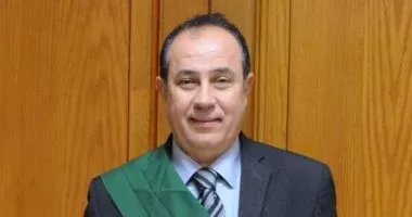 غدًا السبت.. سماع الشهود في محاكمة 8 متهمين بخلية المعصرة الإرهابية