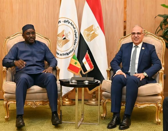 لتعزيز الحوكمة وتطوير الأداء المؤسسي لـ «الأمكاو».. الدكتور سويلم يلتقي نظيره السنغالي لبحث تعزيز التنسيق في قضايا المياه الأفريقية