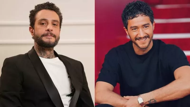 أحمد الفيشاوي